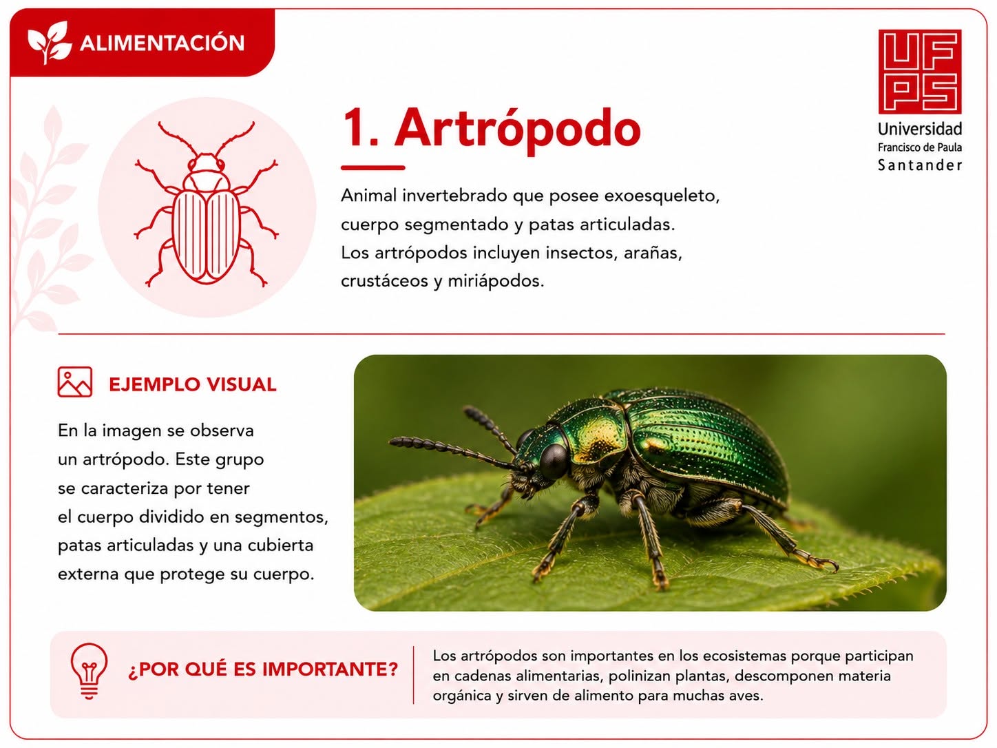 Artrópodo