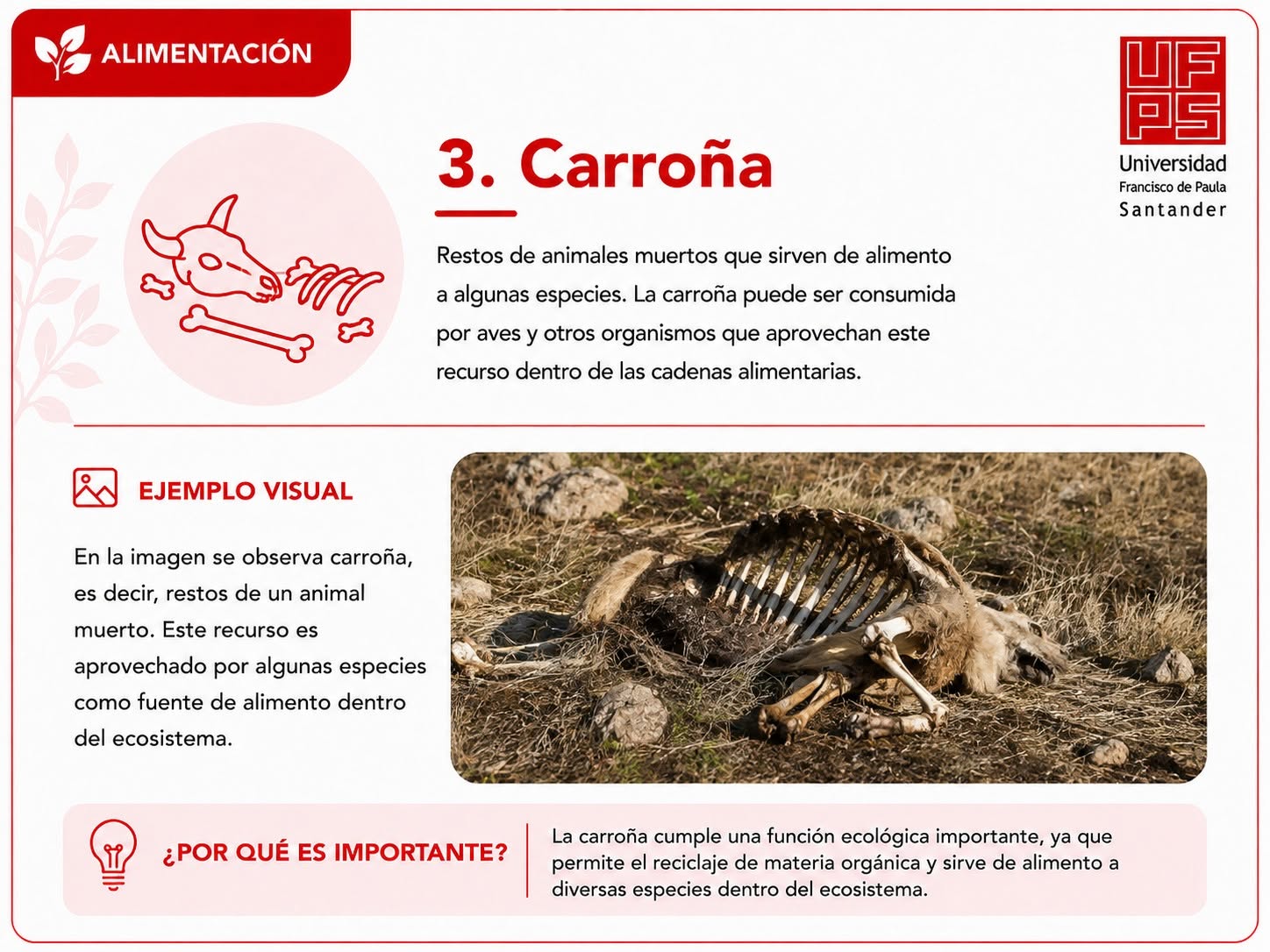 Carroña