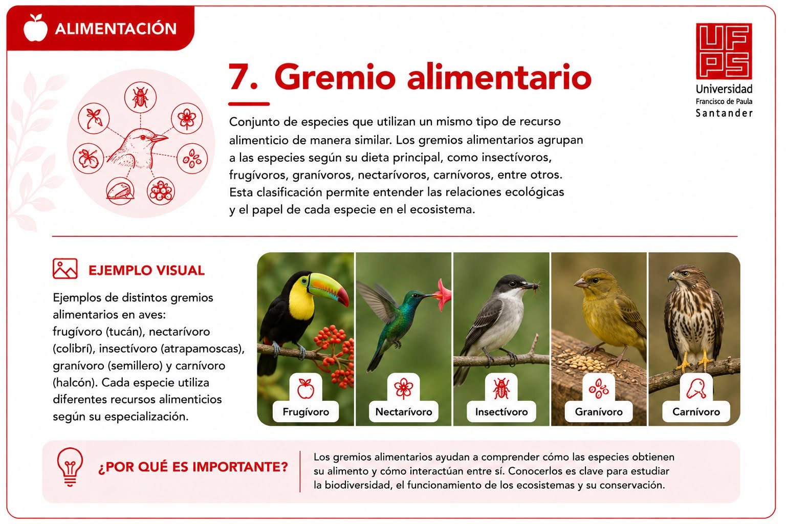 Gremio alimentario