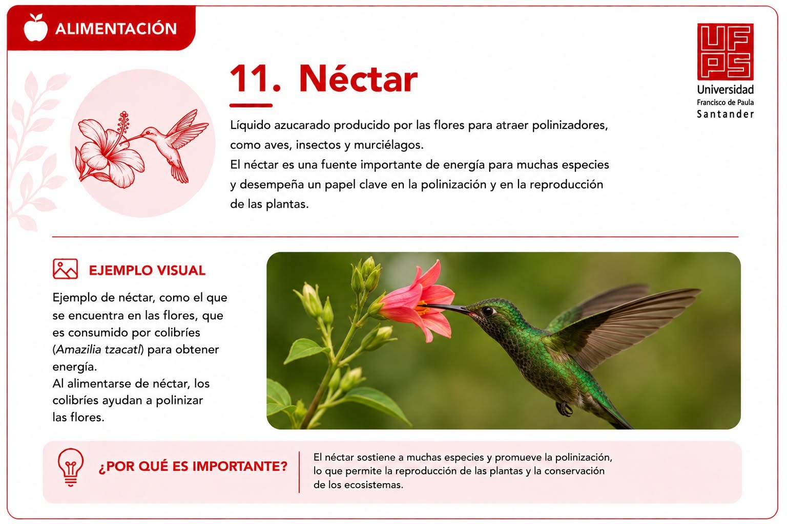 Néctar