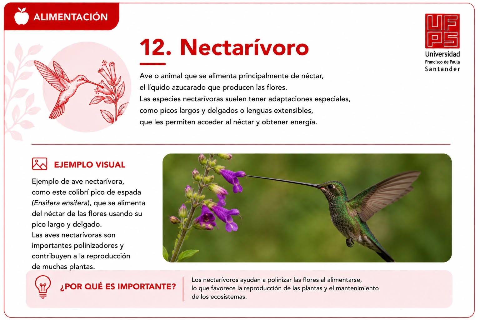 Nectarívoro