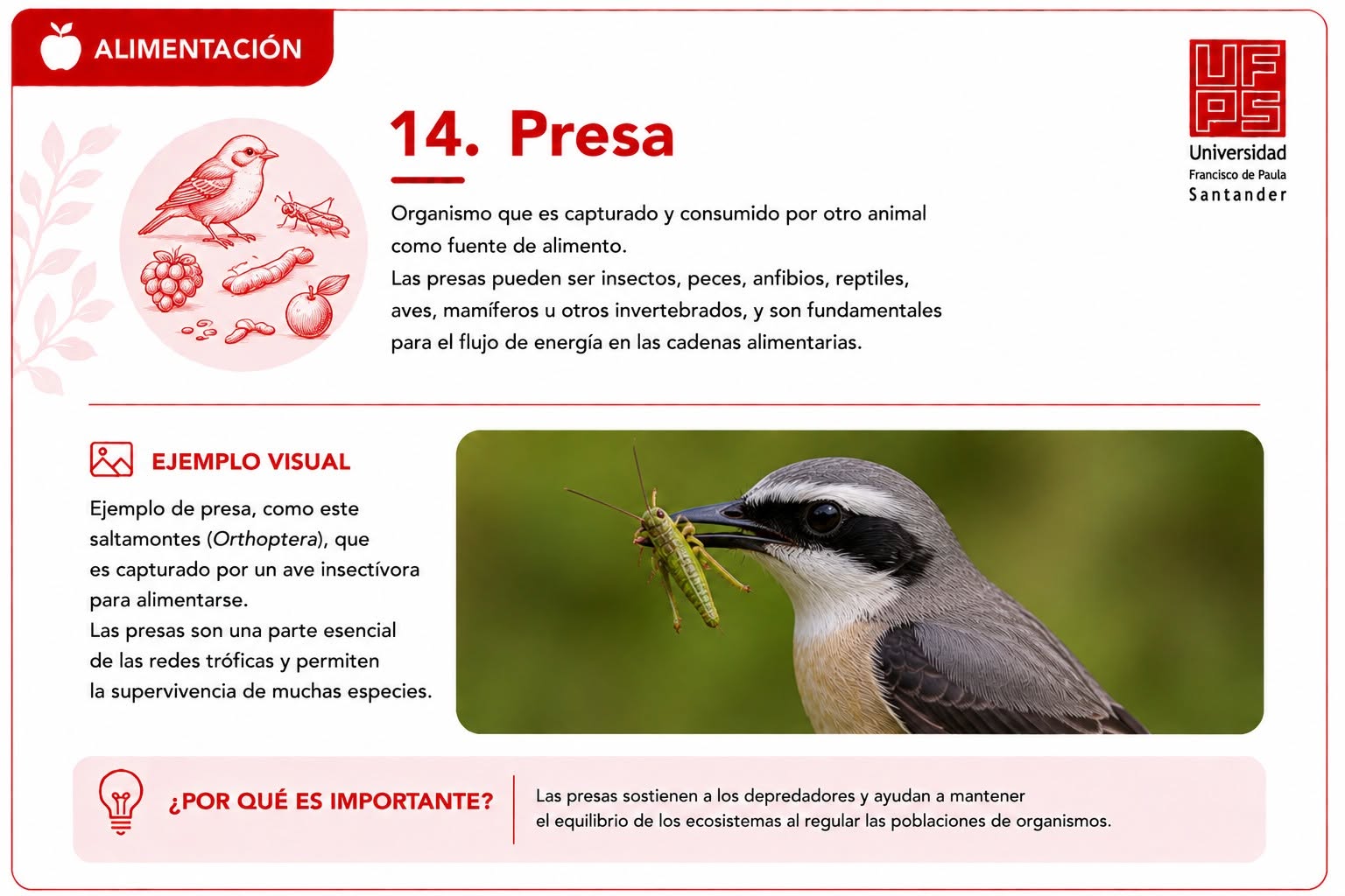 Presa