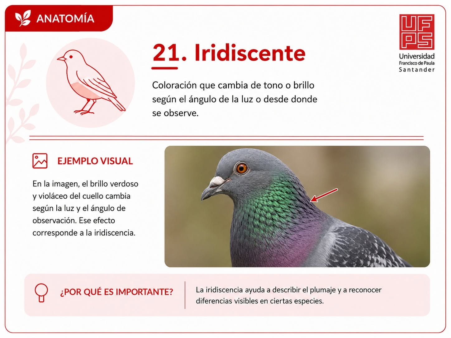 Iridiscente