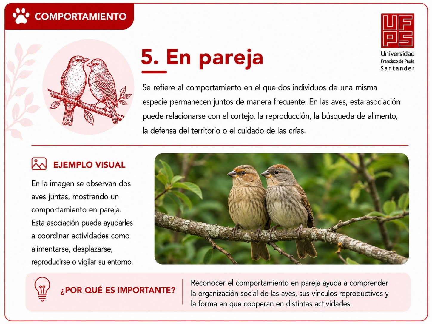 En pareja