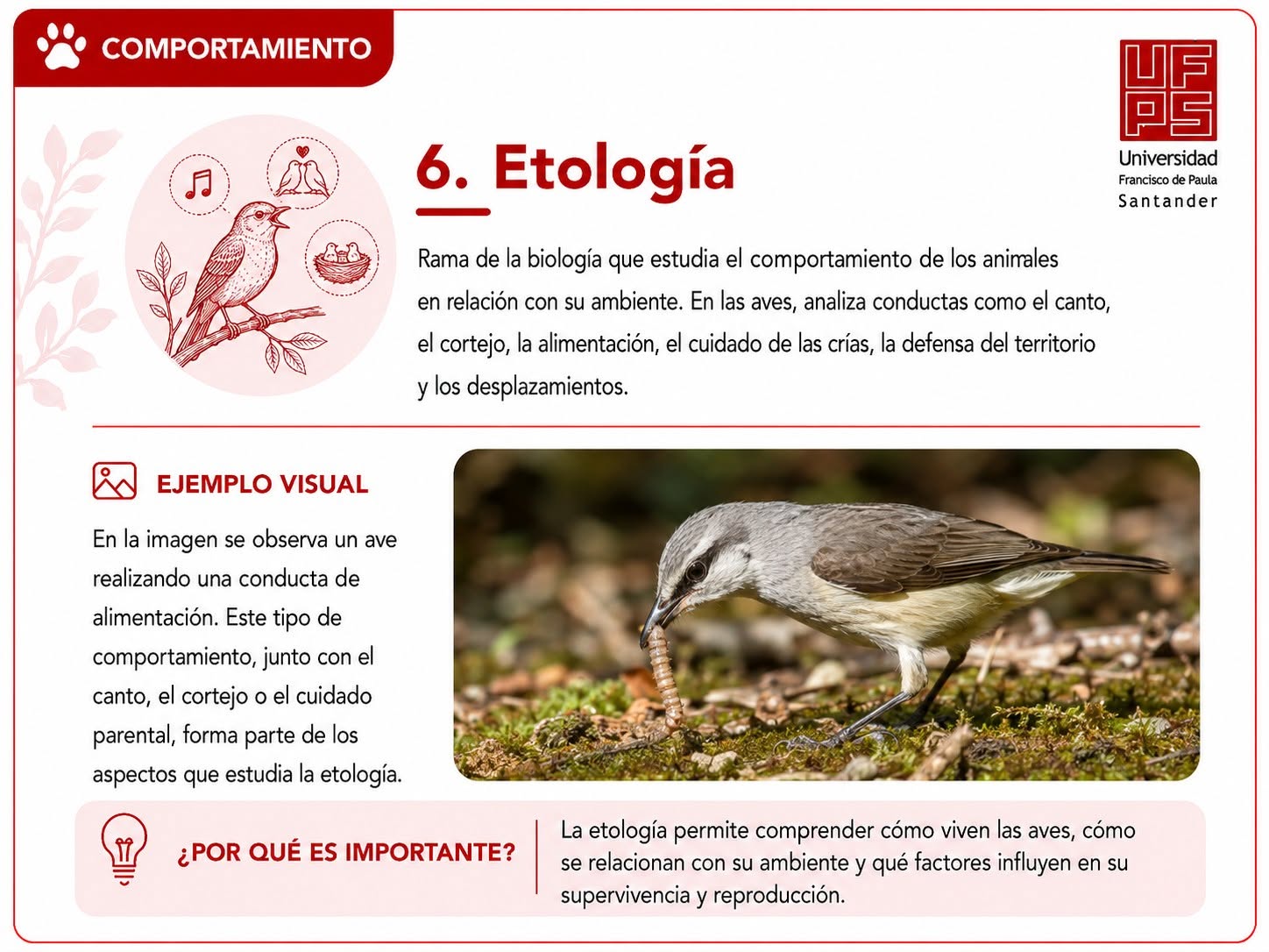 Etología