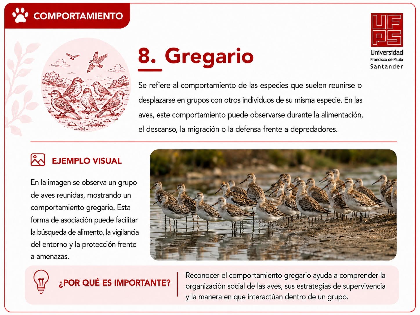 Gregario