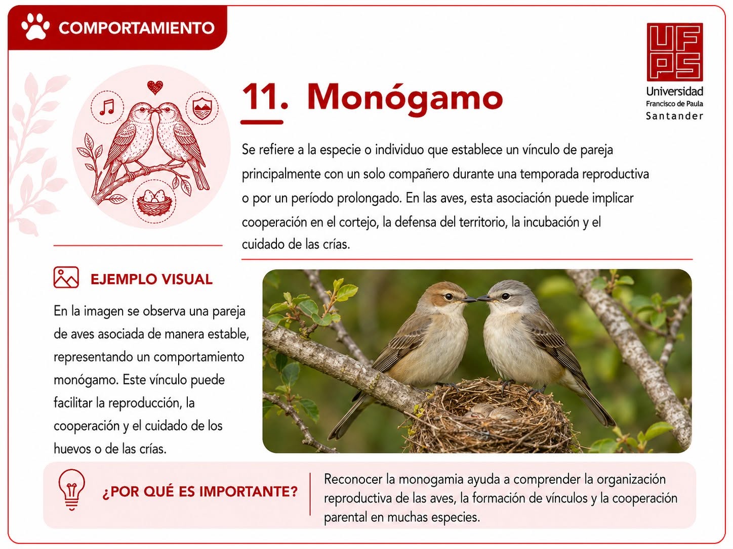 Monógamo