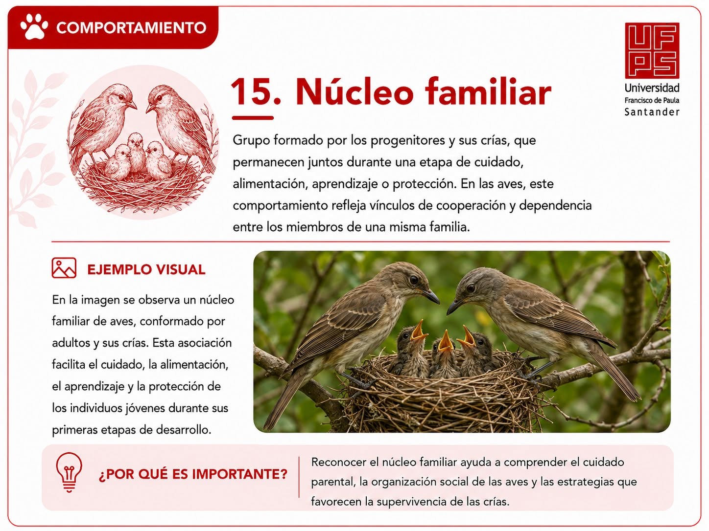 Núcleo familiar