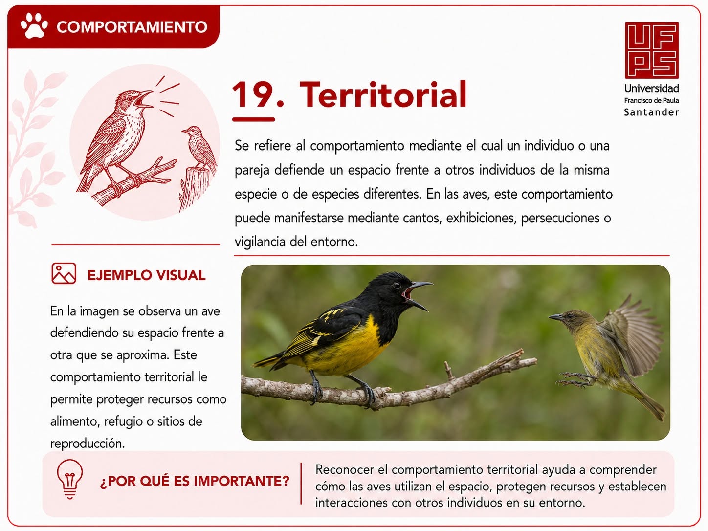 Territorial