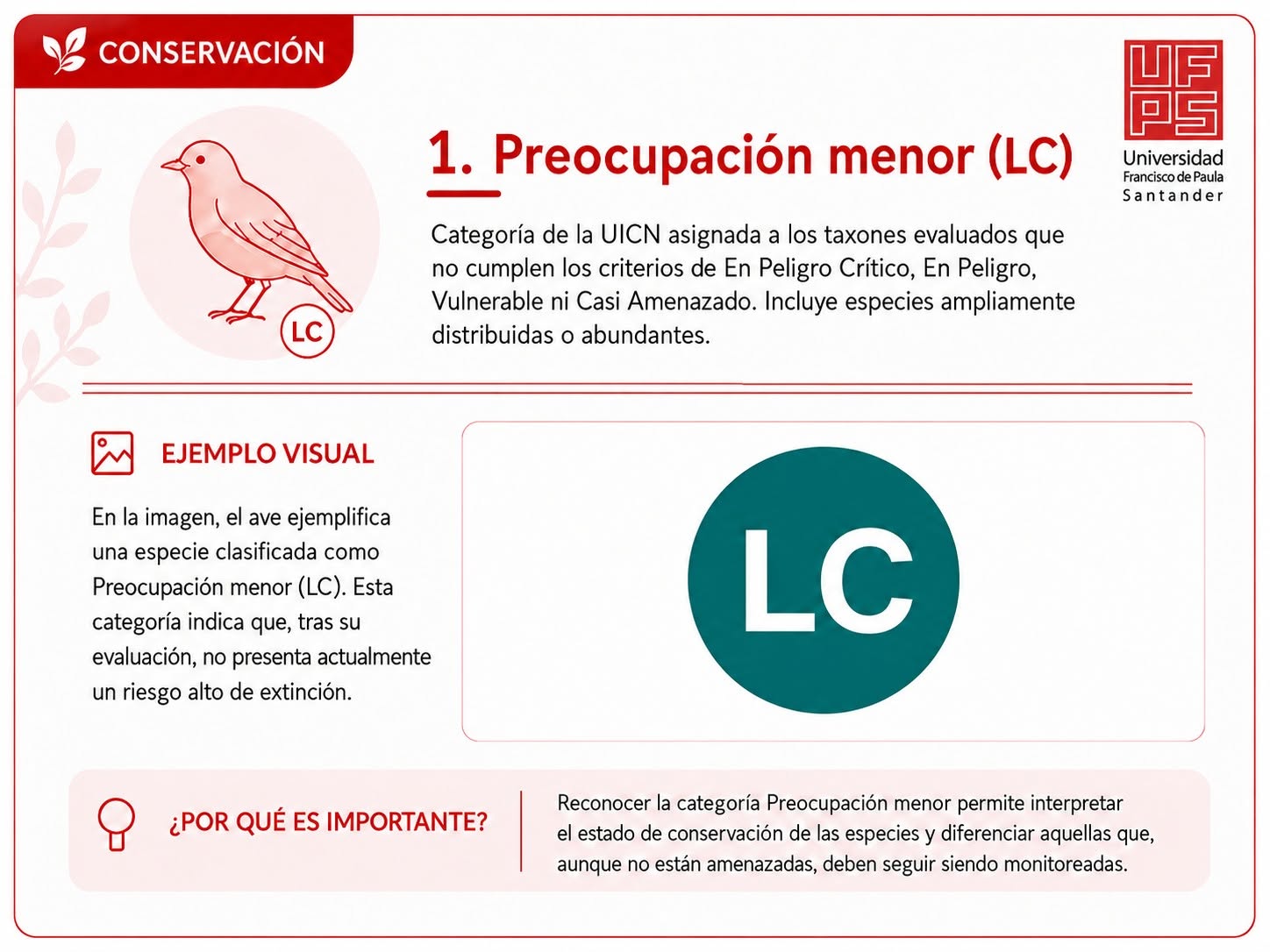 Preocupación menor