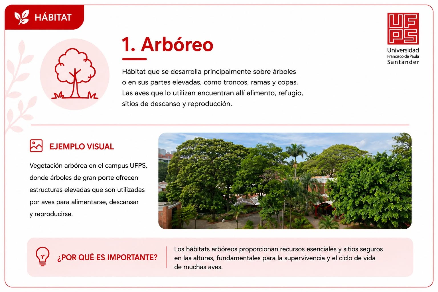 Arbóreo