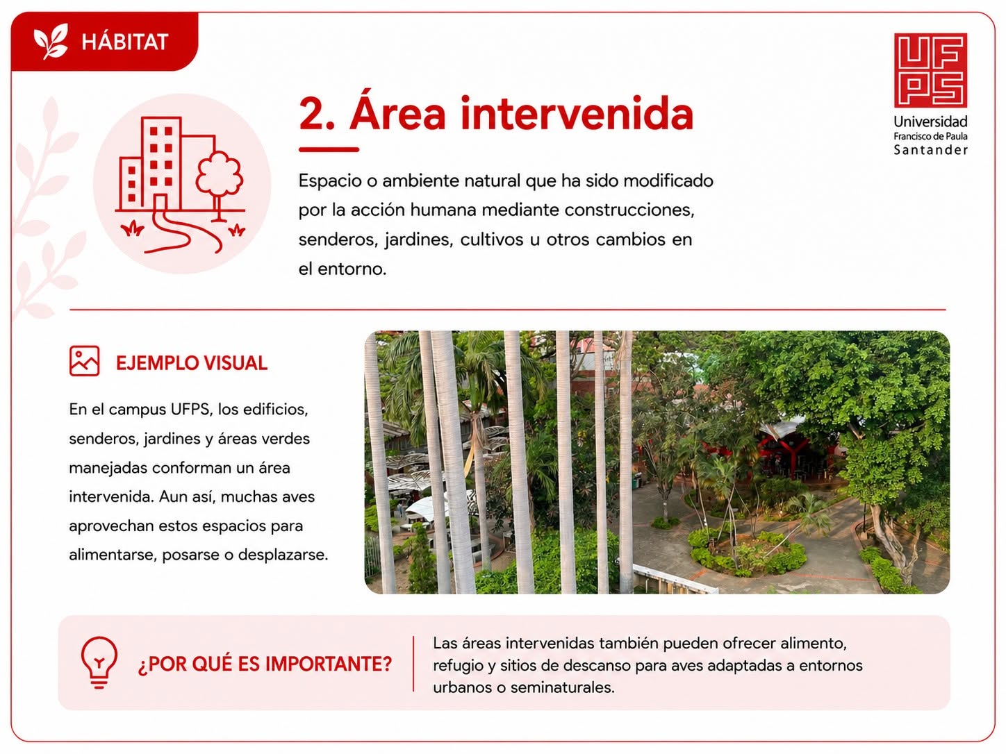 Área intervenida