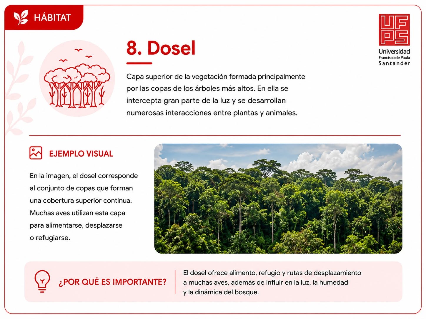 Dosel