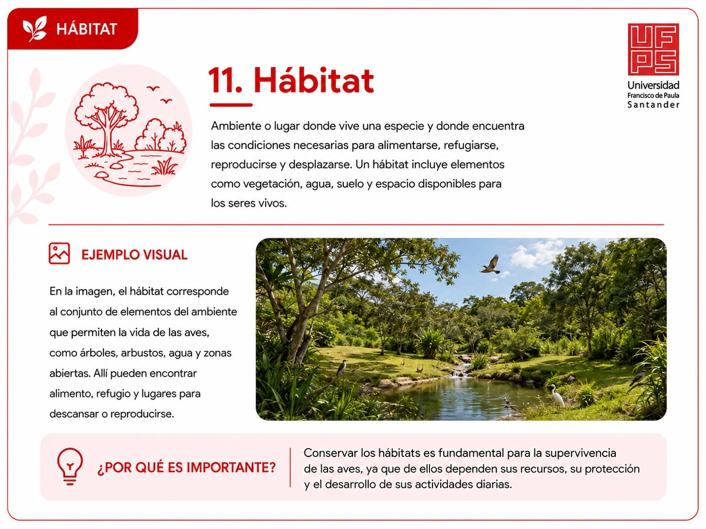Hábitat