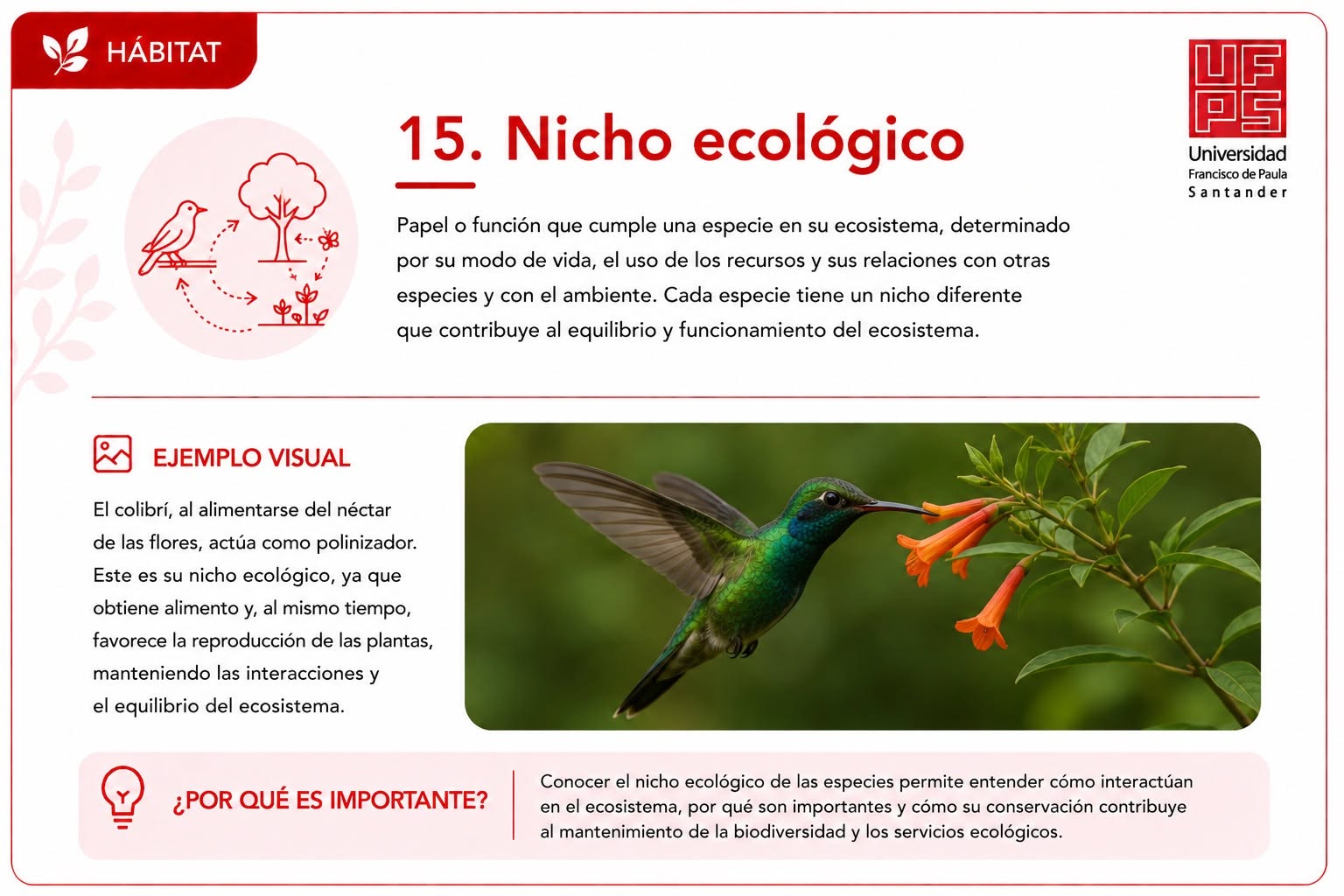 Nicho ecológico