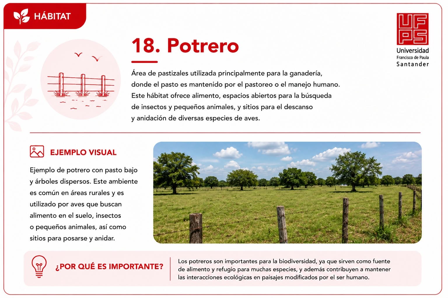 Potrero