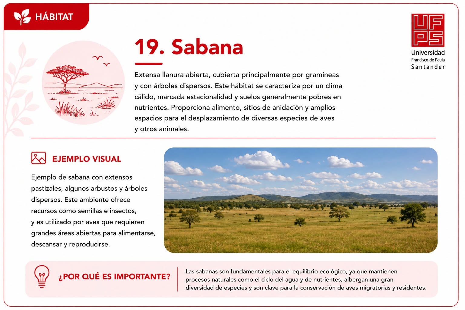 Sabana
