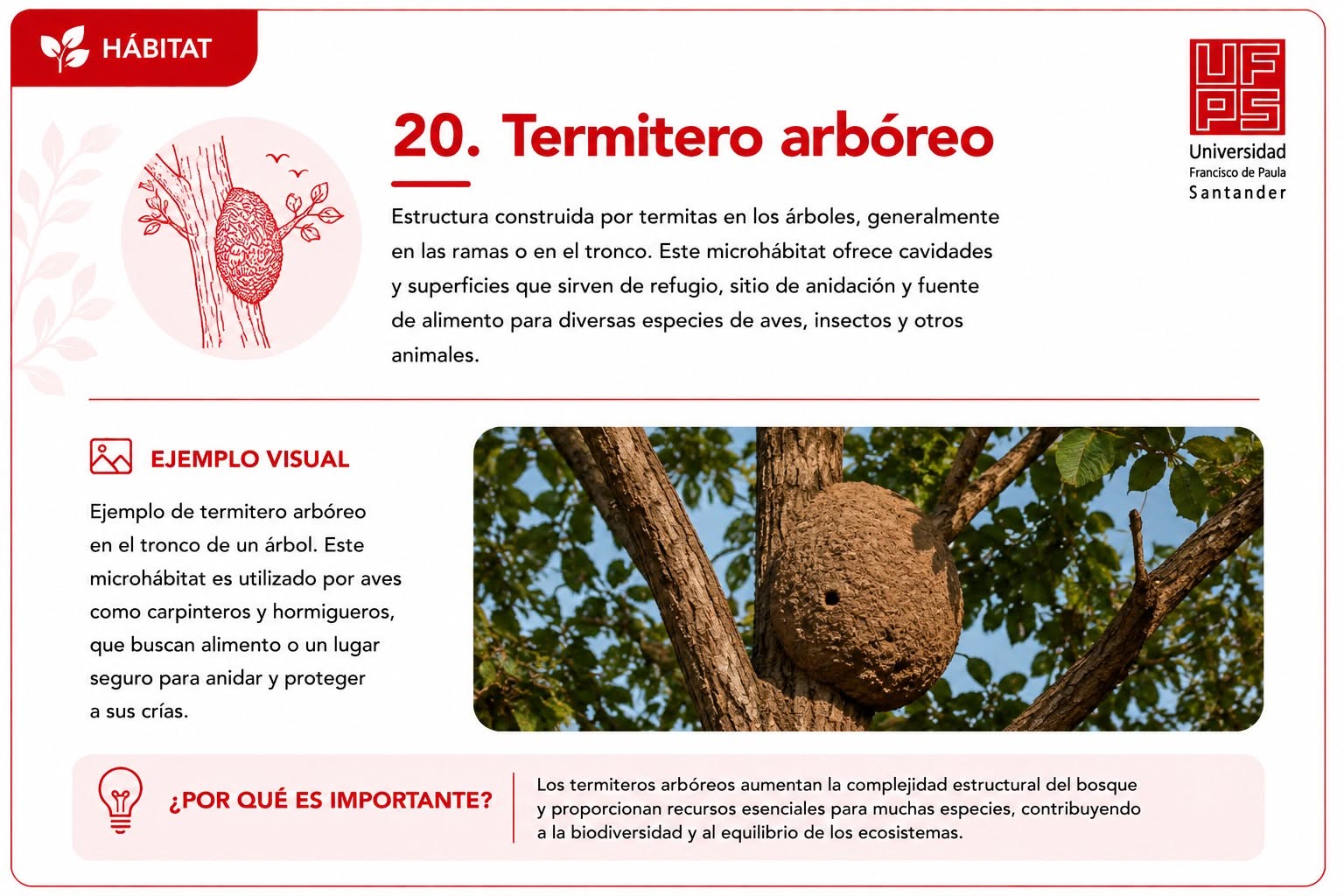 Termitero arbóreo