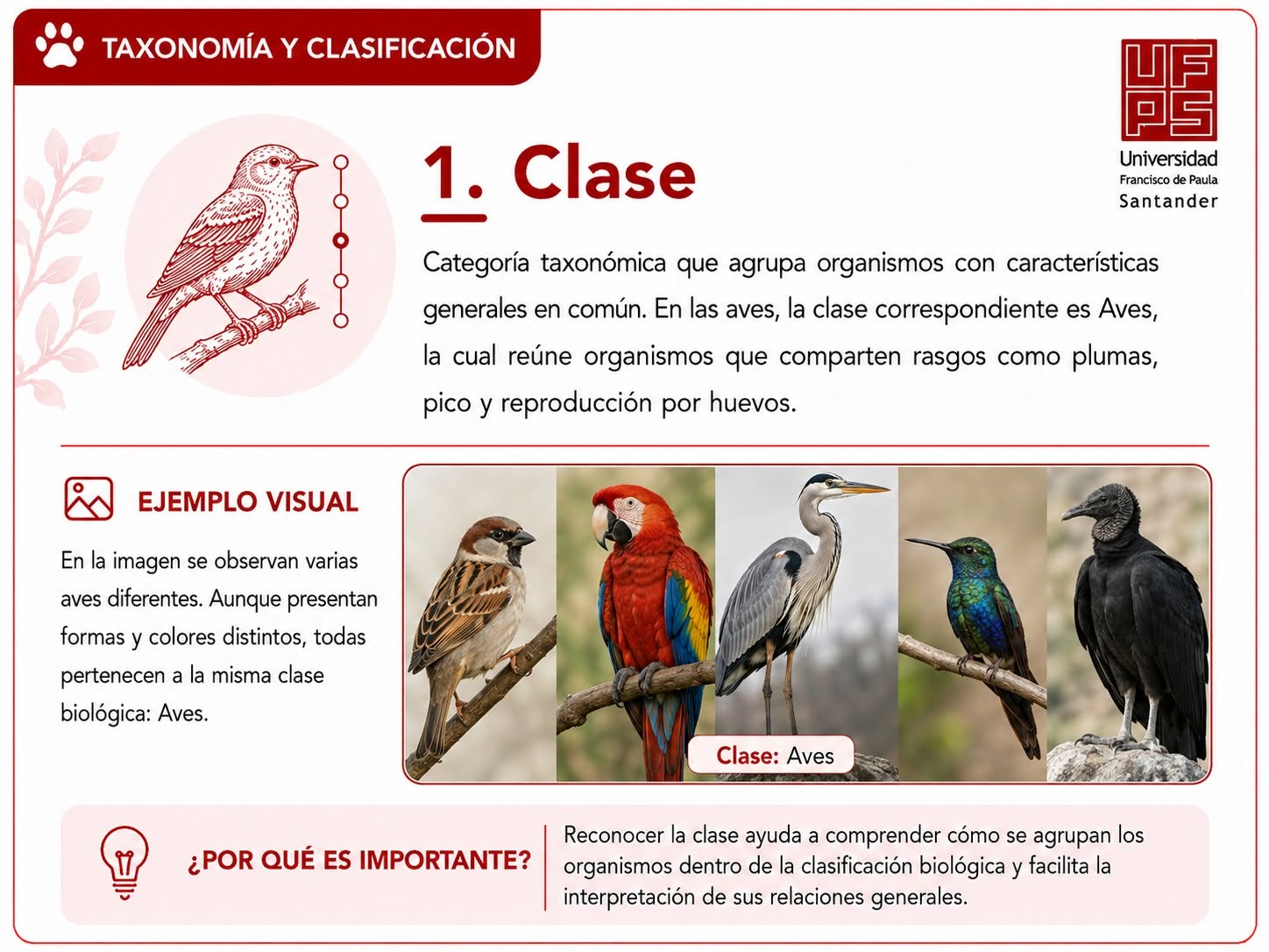 Clase