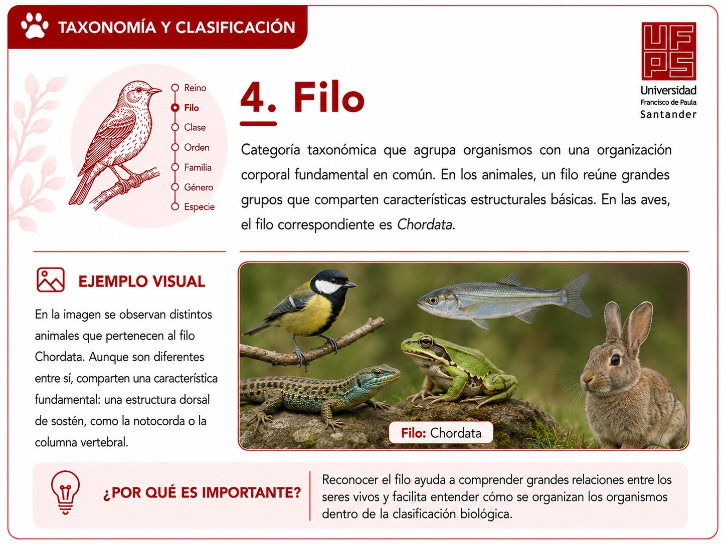 Filo