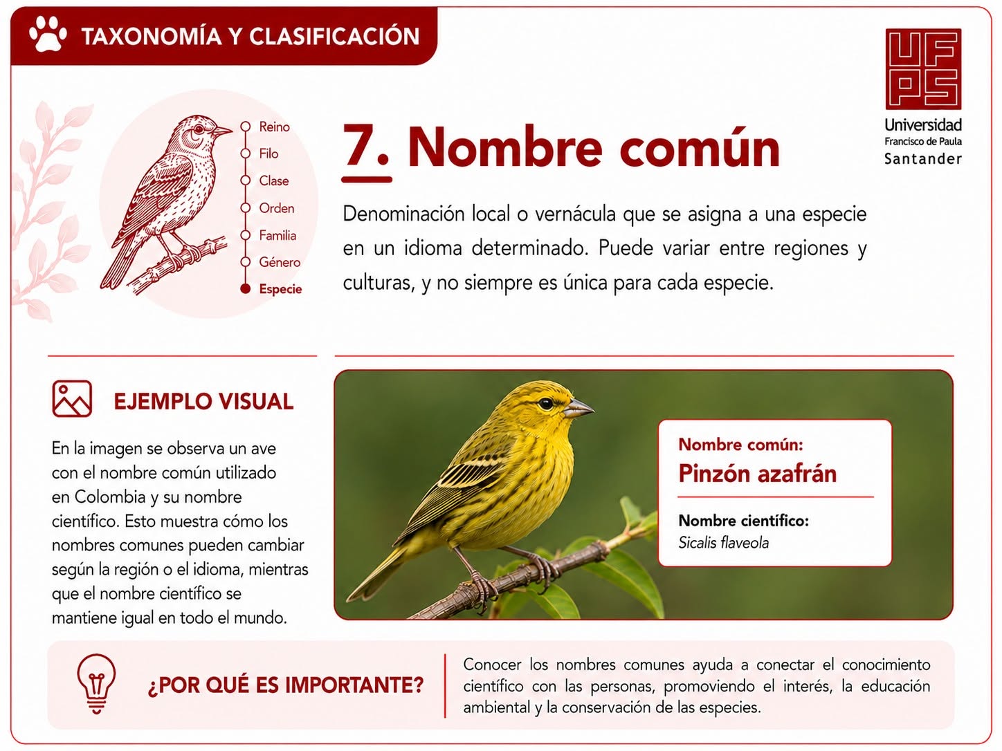 Nombre común