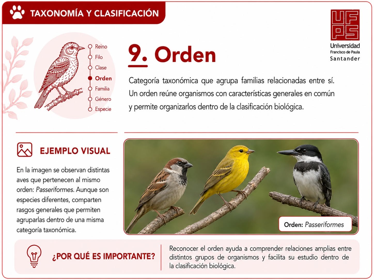 Orden