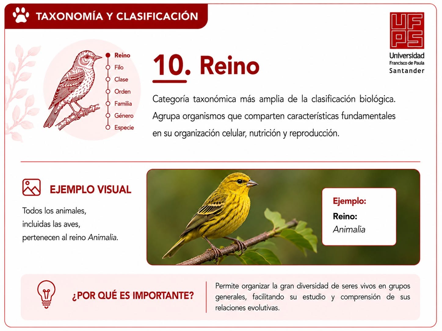 Reino