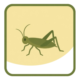 Insectivoro