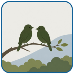 Pareja